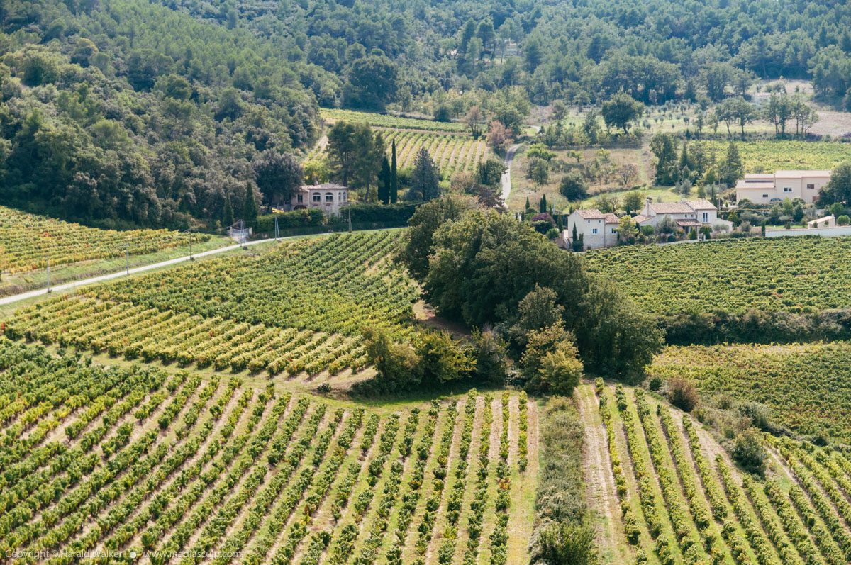 Stock photo of Vineyards near Vaison-la-Romaine
