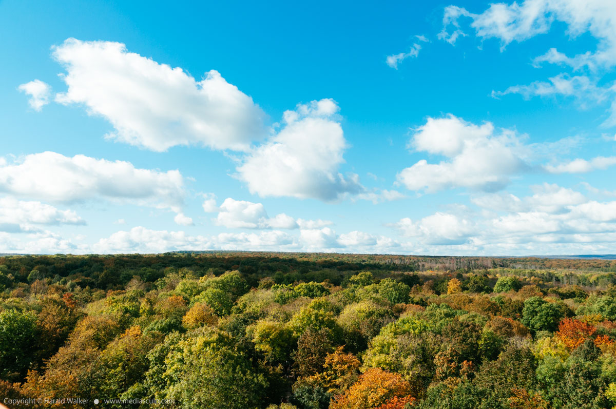 Stock photo of Hainich National Park