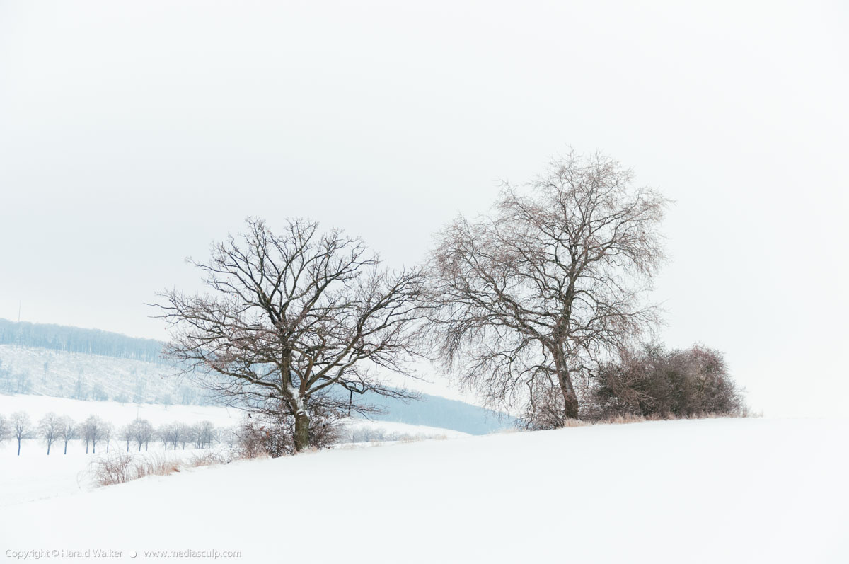 Stock photo of Snowy Weser Uplands