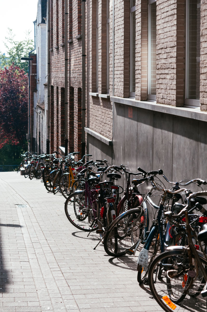 Stock photo of Bicycles in Ghent