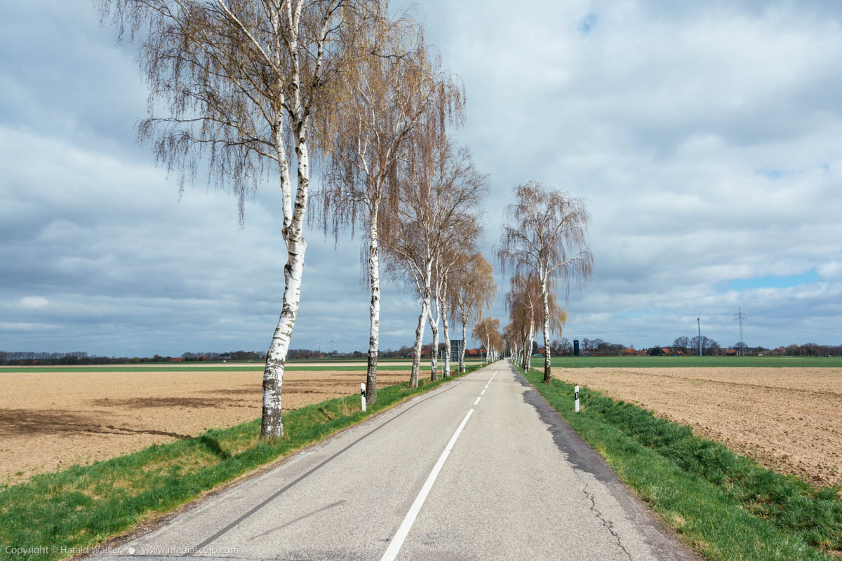 Stock photo of Rural countryside road