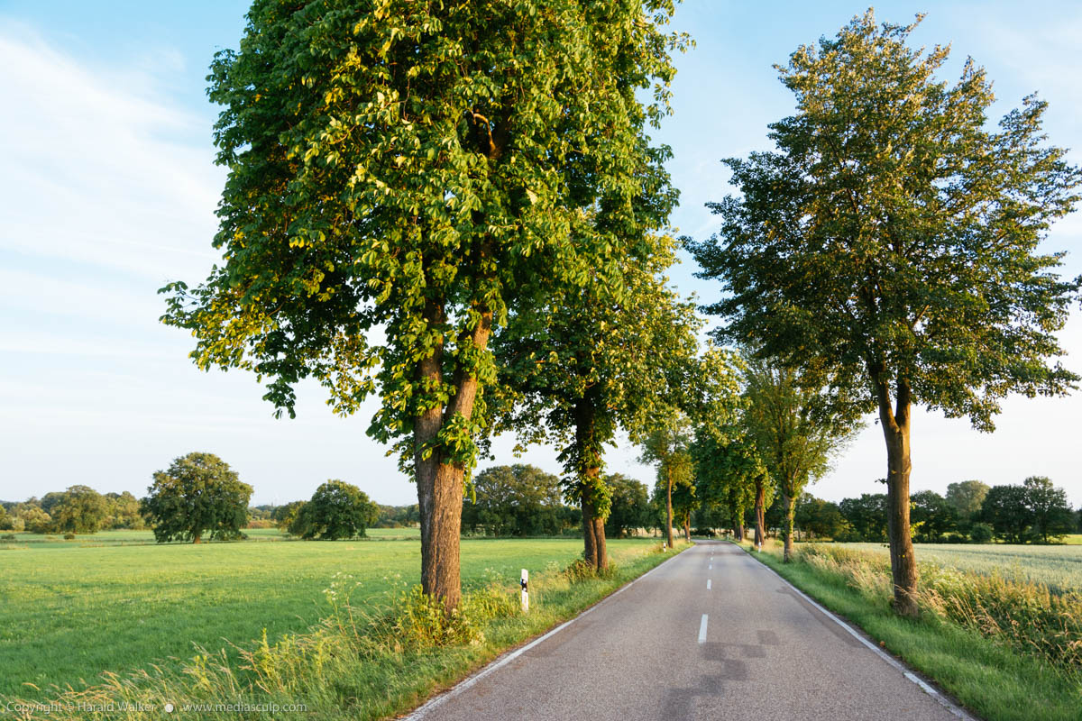 Stock photo of Rural road