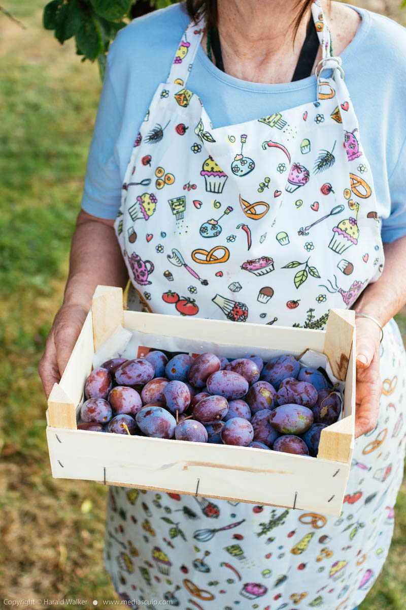 Stock photo of Box of plums