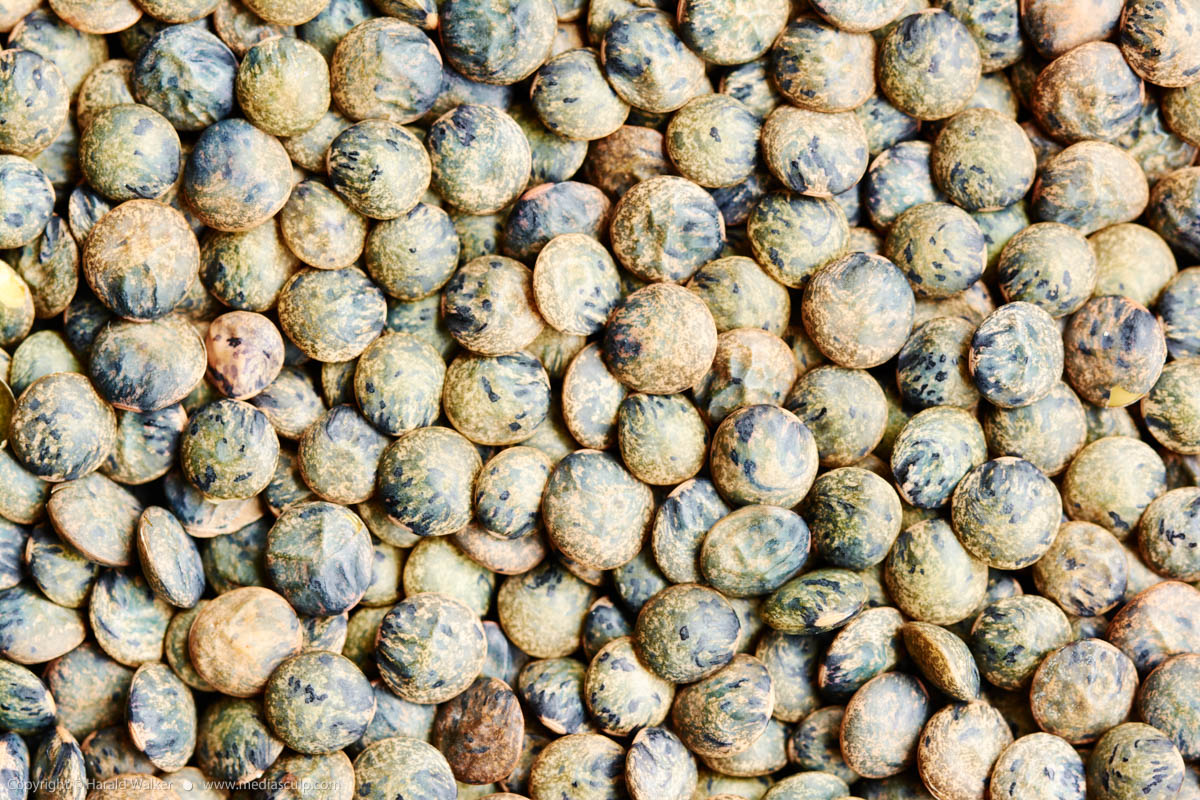 Stock photo of French lentils