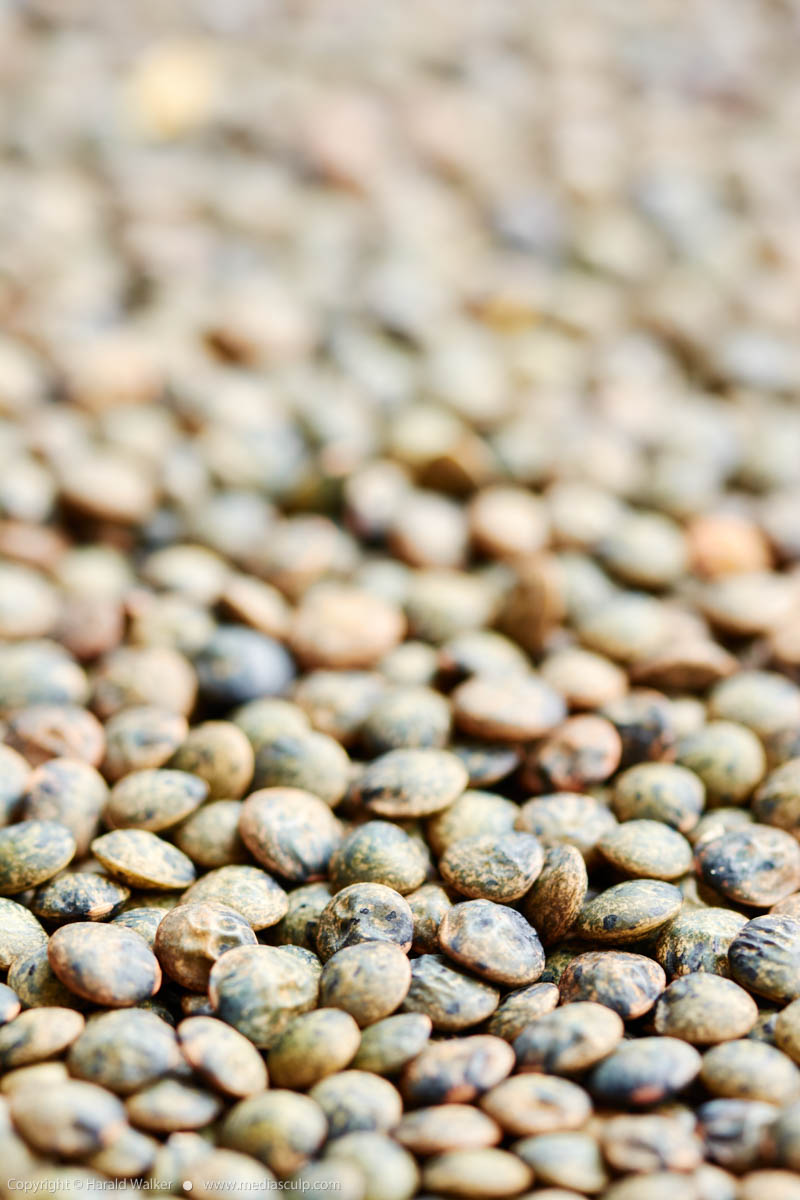 Stock photo of French lentils