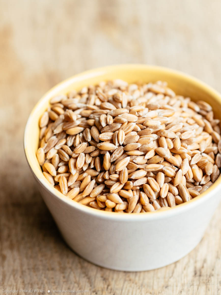 Stock photo of Spelt grains