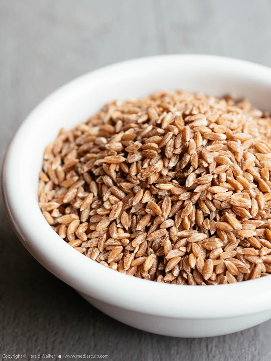 Stock photo of Emmer wheat