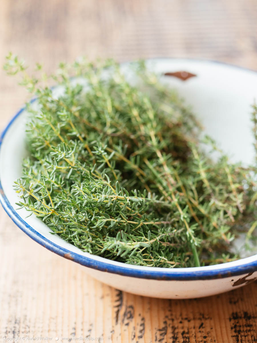 Stock photo of Thyme