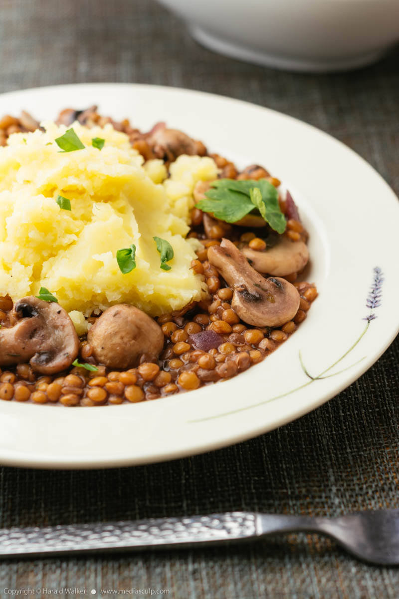 Stock photo of Lentil mushroom bourguignon with mashed potatoes