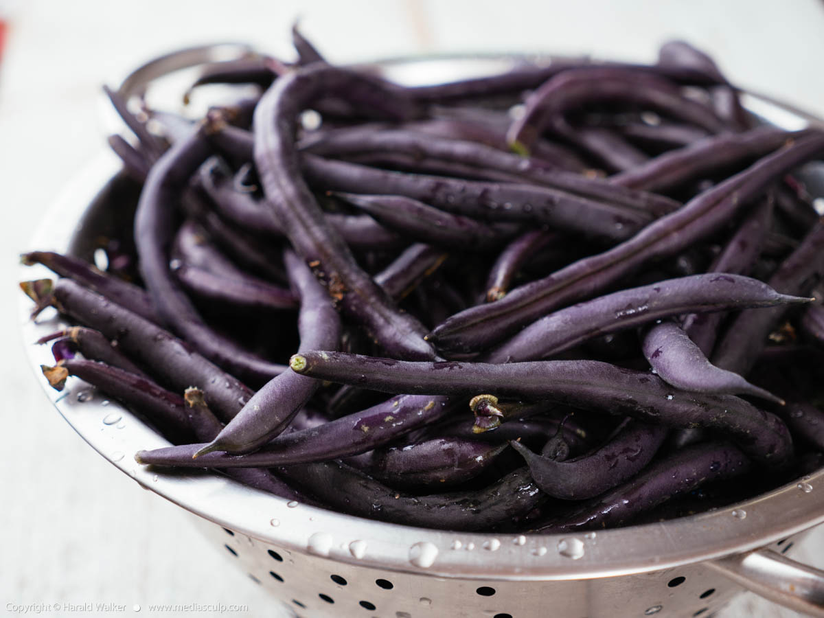 Stock photo of Purple beans
