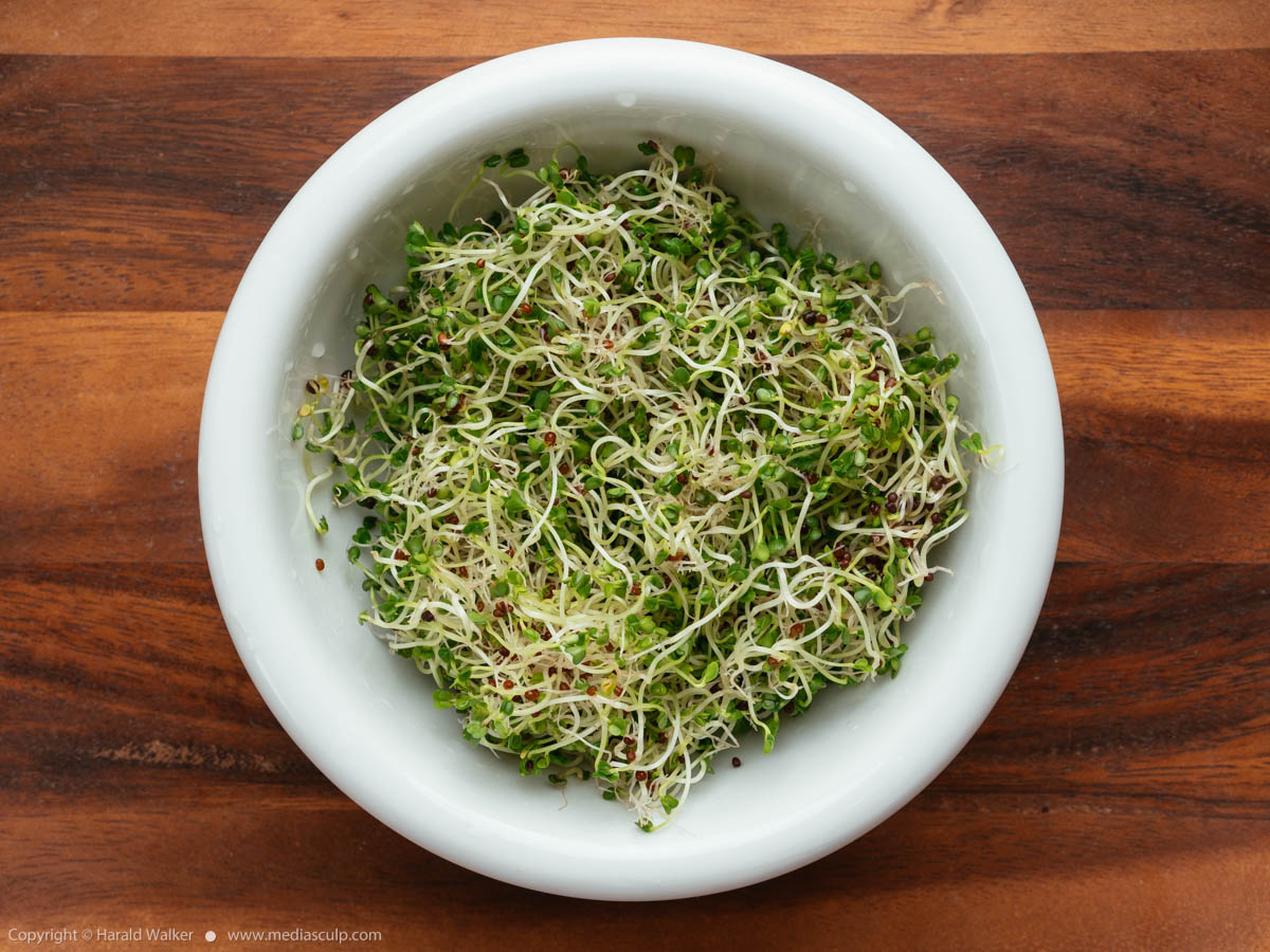 Stock photo of Rapini sprouts