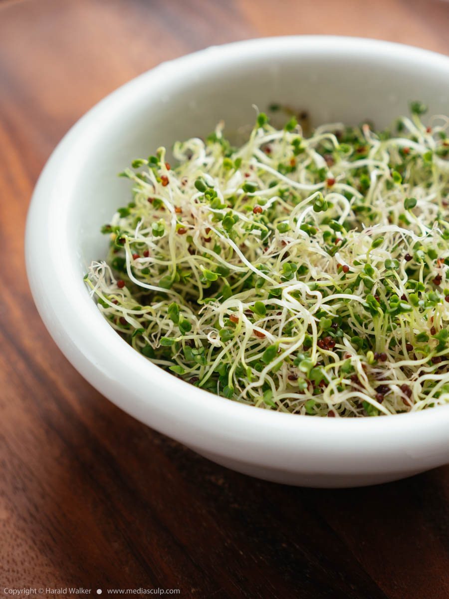 Stock photo of Rapini sprouts