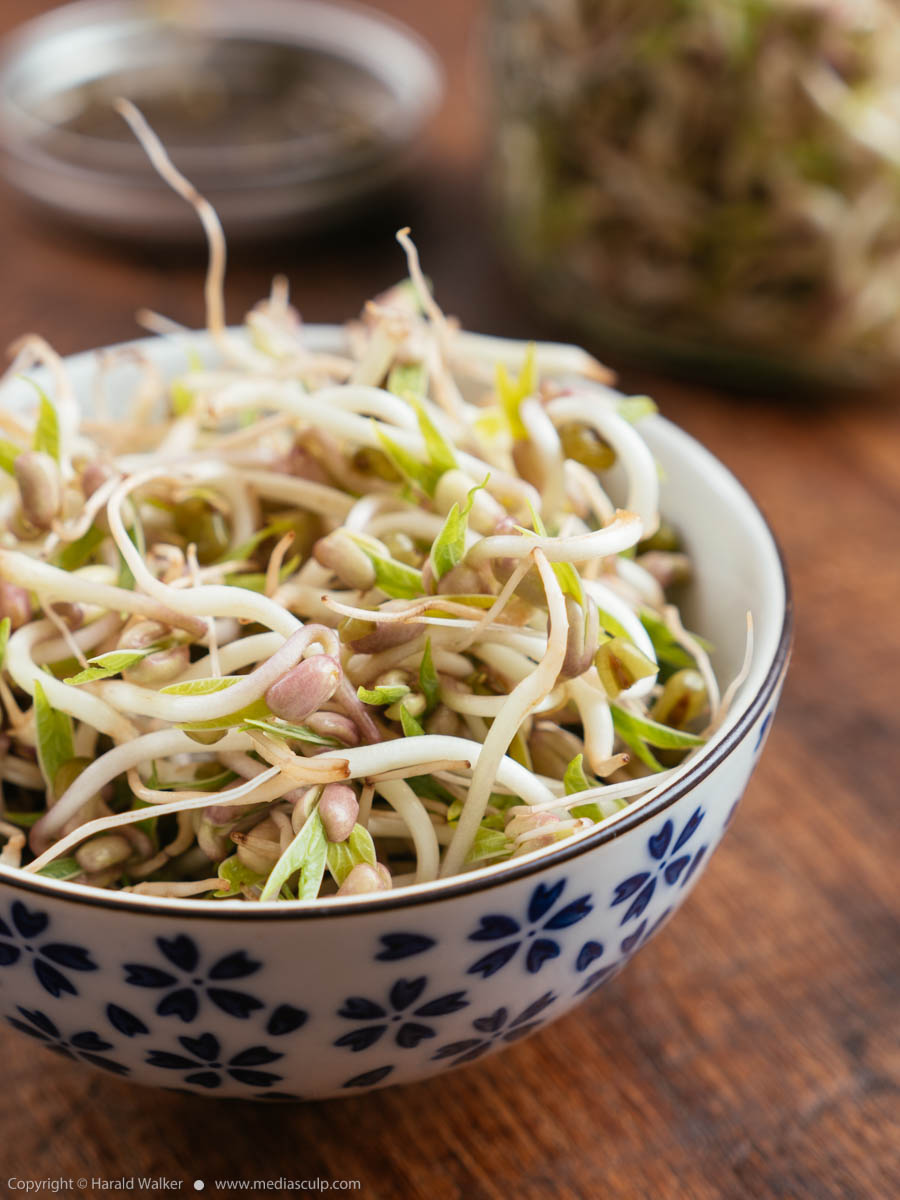Stock photo of Mung bean sprouts