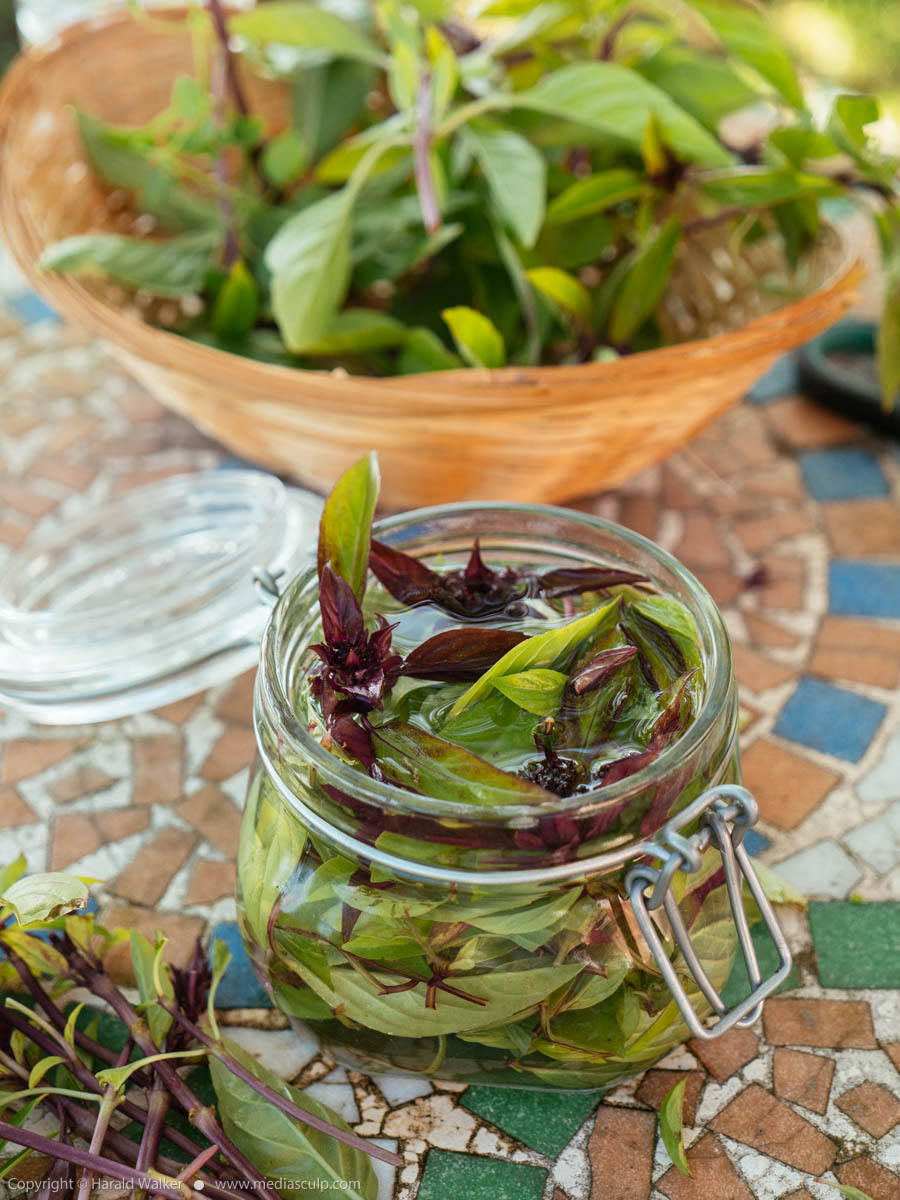 Stock photo of Making Thai Basil Vinegar