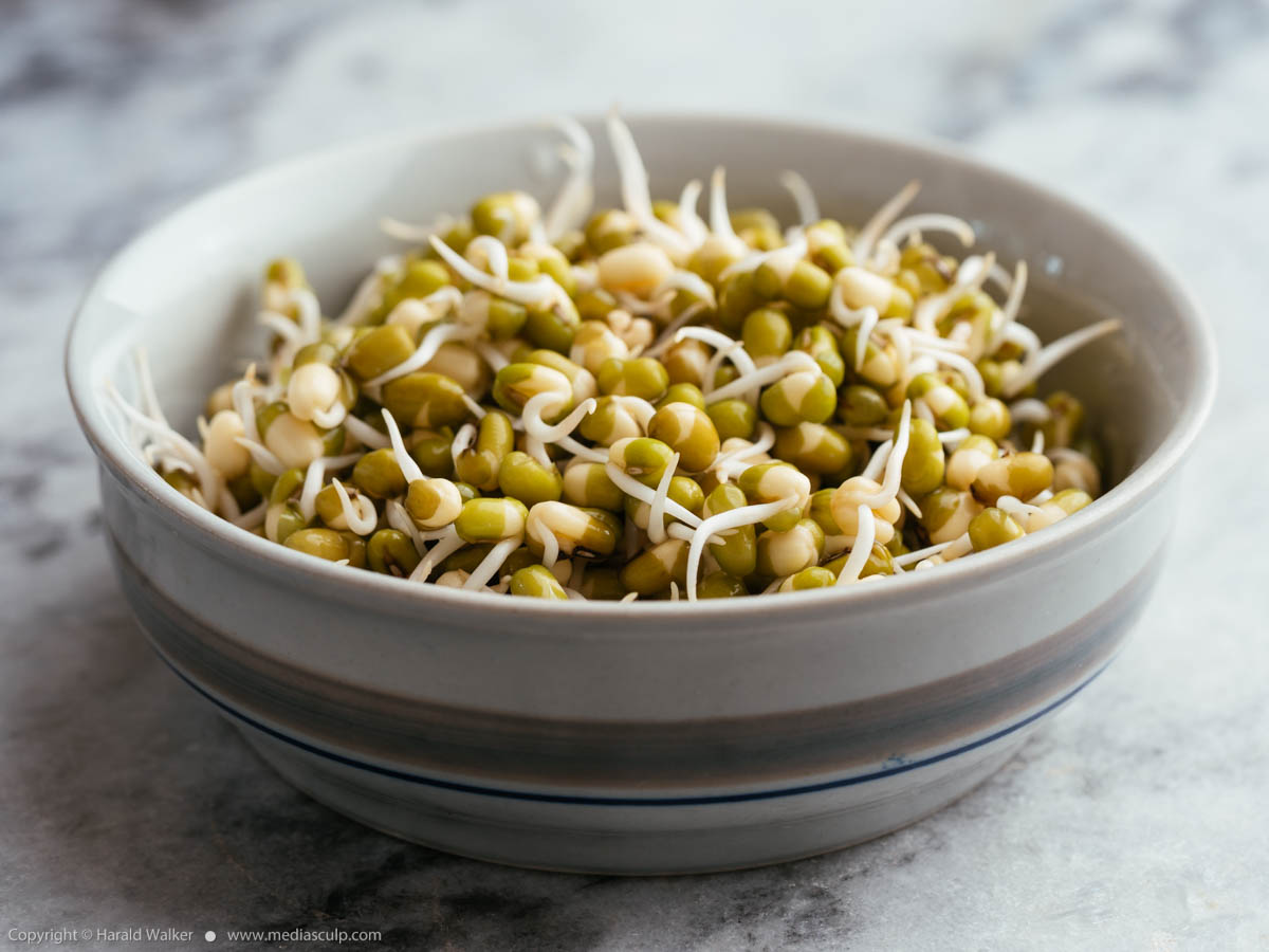 Stock photo of Mung bean sprouts