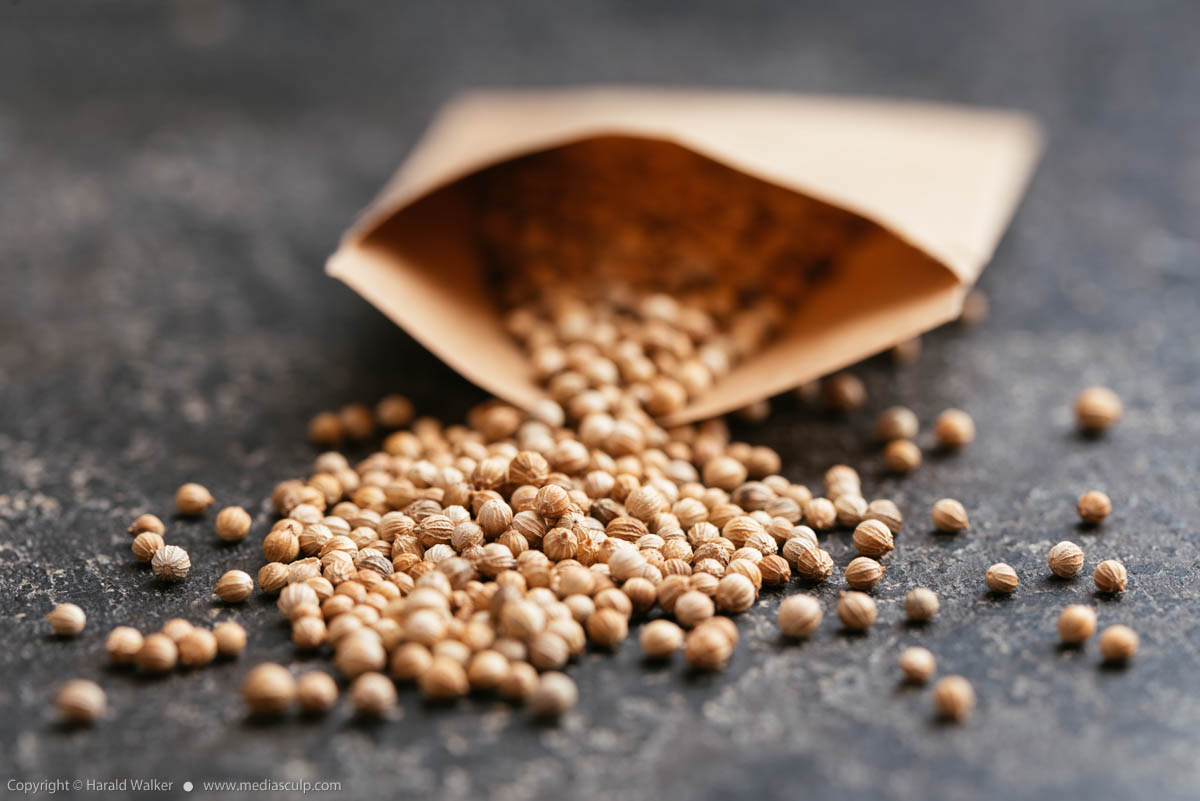 Stock photo of Coriander seeds