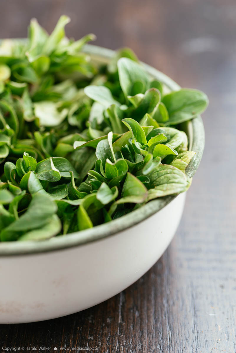 Stock photo of Organic Corn Salad