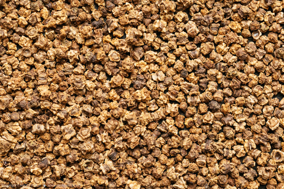 Stock photo of Beed seeds