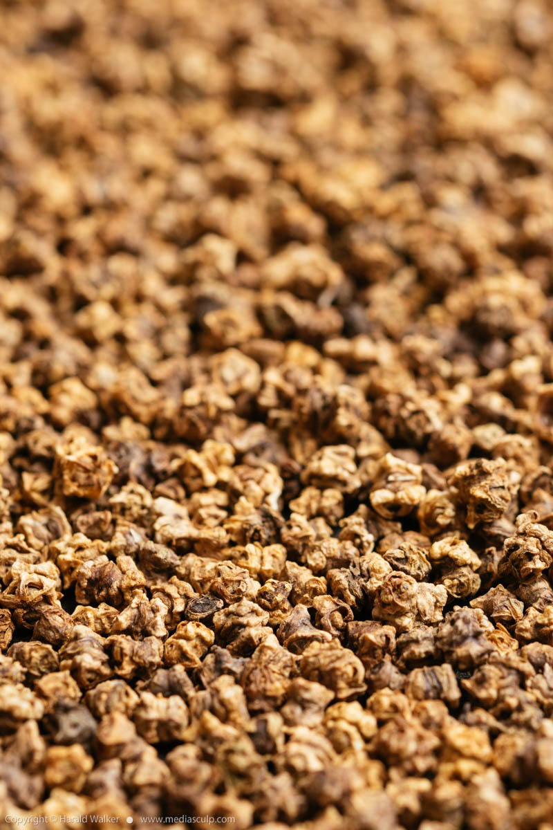 Stock photo of Beet seeds closeup