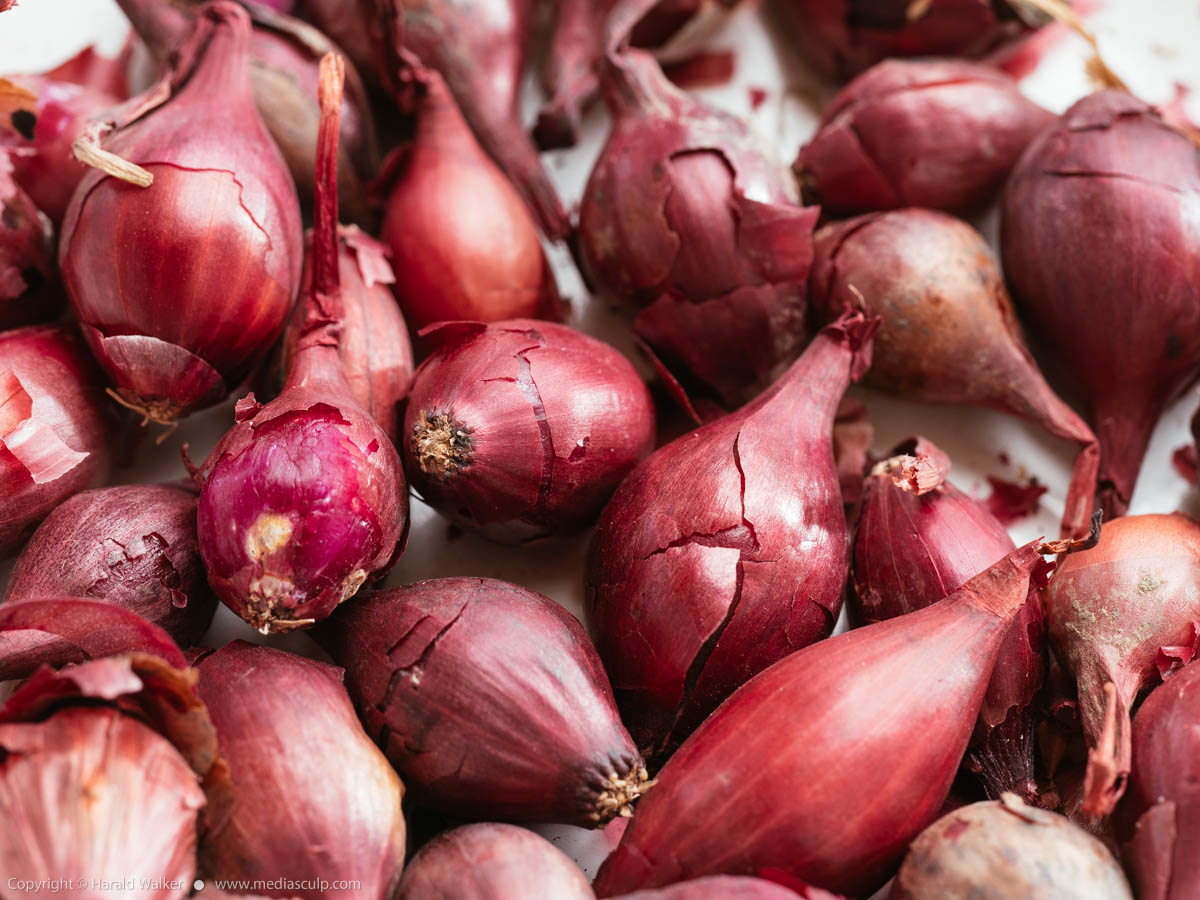Stock photo of Red onion sets