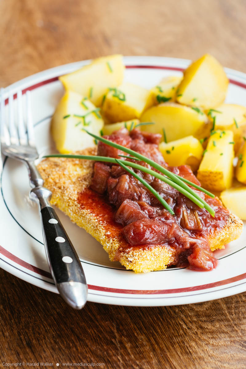 Stock photo of Cornmeal Breaded Tempeh with Rhubarb-Redcurrant Wine Sauce