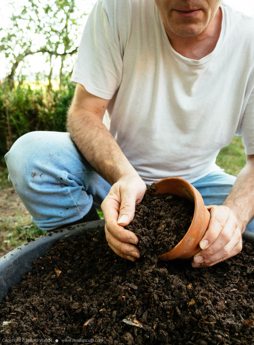 Stock photo of Pot with compost