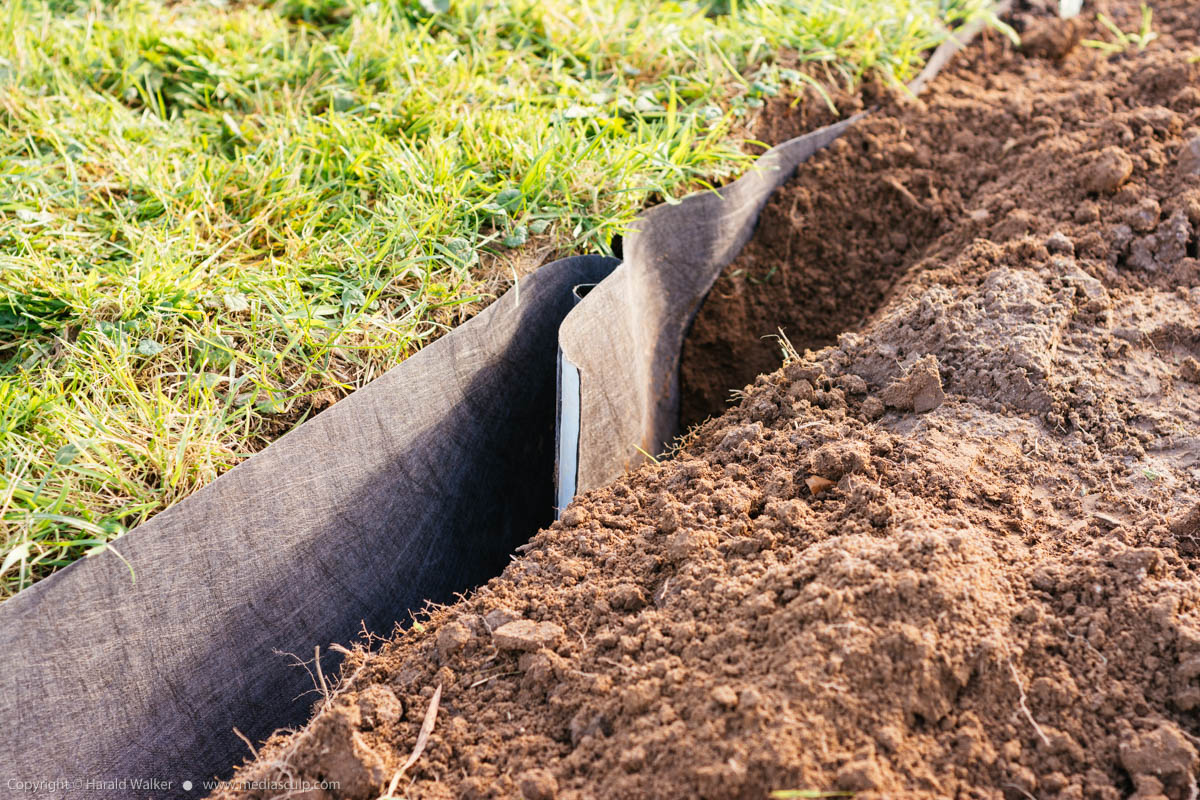 Stock photo of Installing root barrier