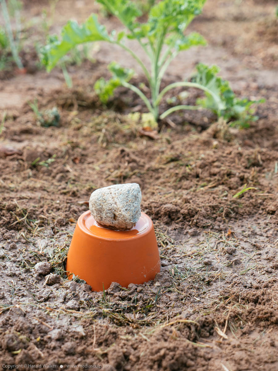 Stock photo of Clay Pot Irrigation System