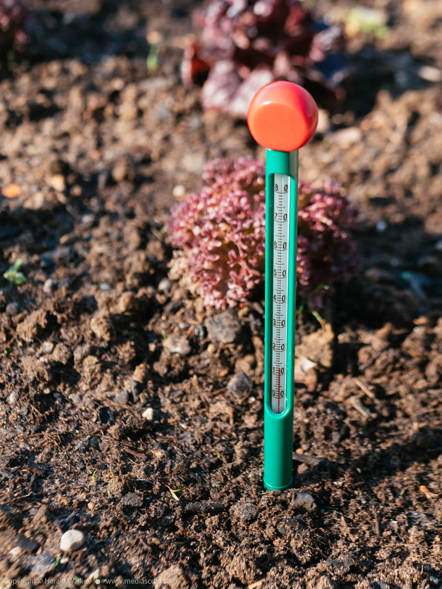 Stock photo of Soil thermometer