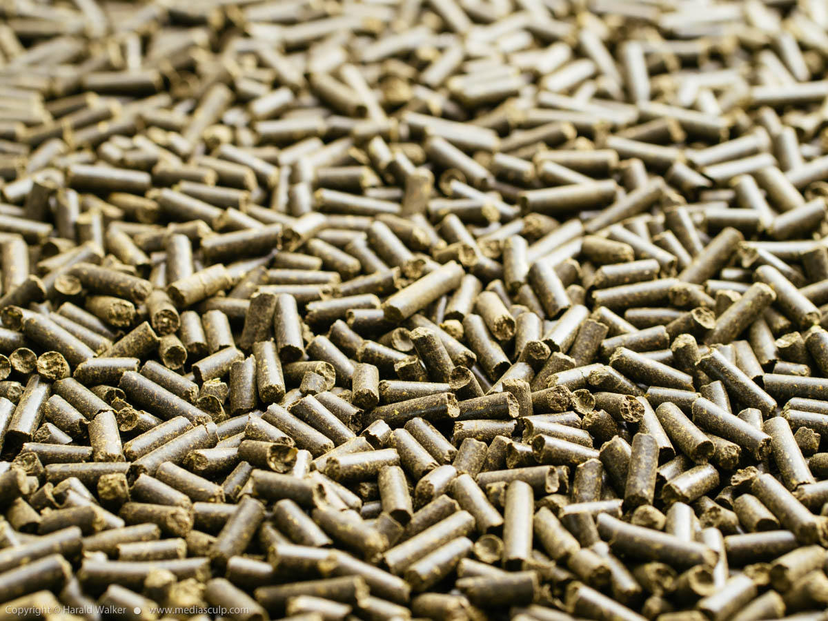 Stock photo of Clover fertilizer