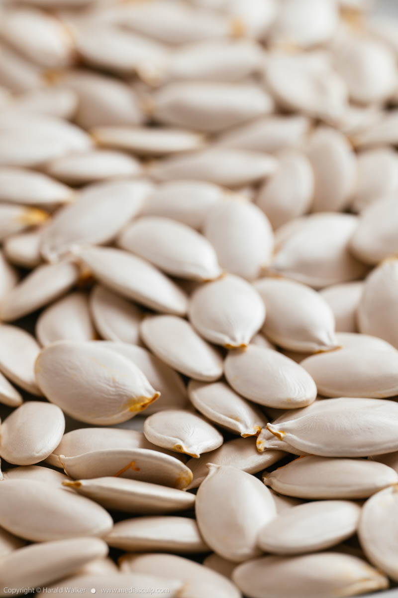 Stock photo of Pumpkin seeds