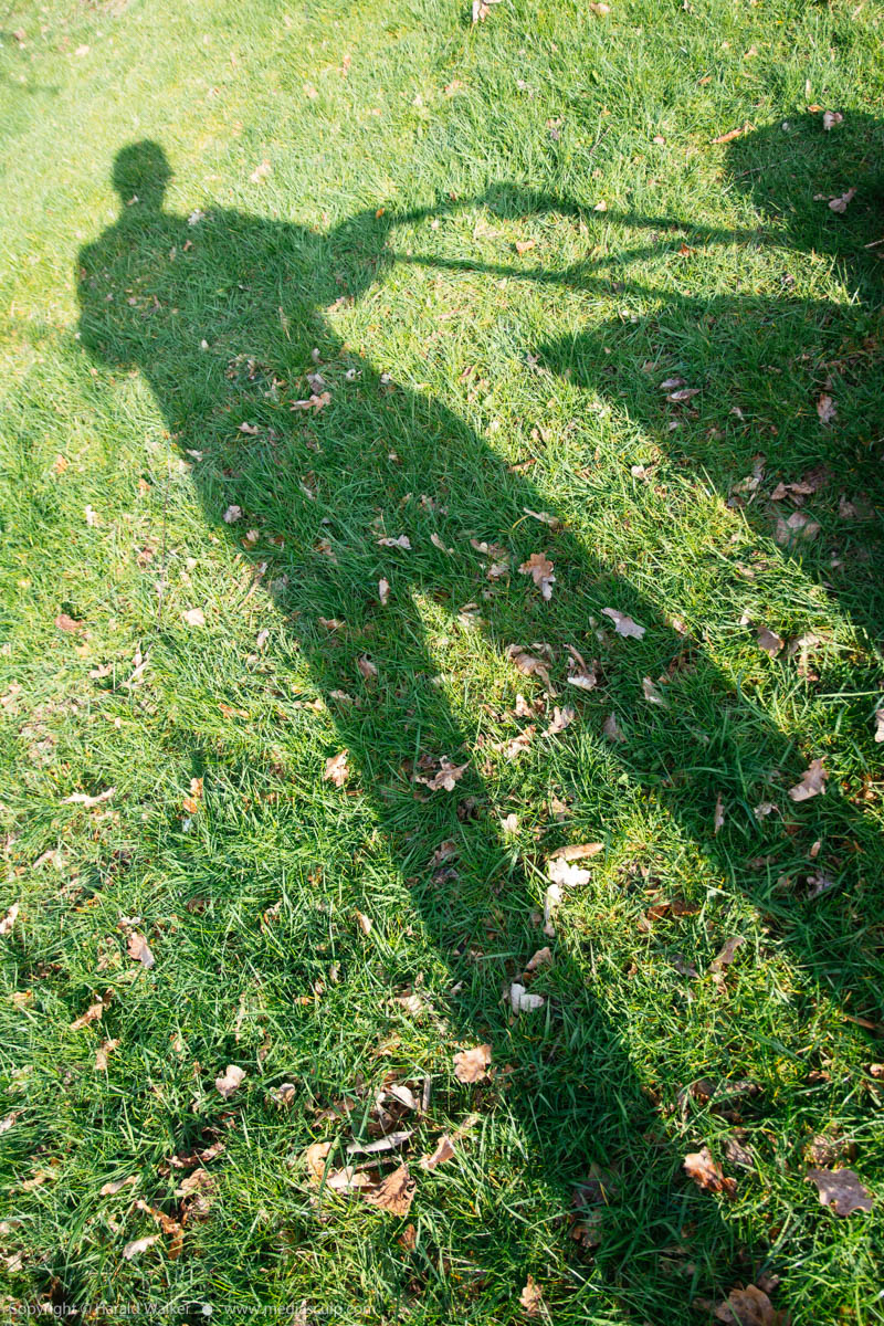 Stock photo of Shadow of gardener mowing