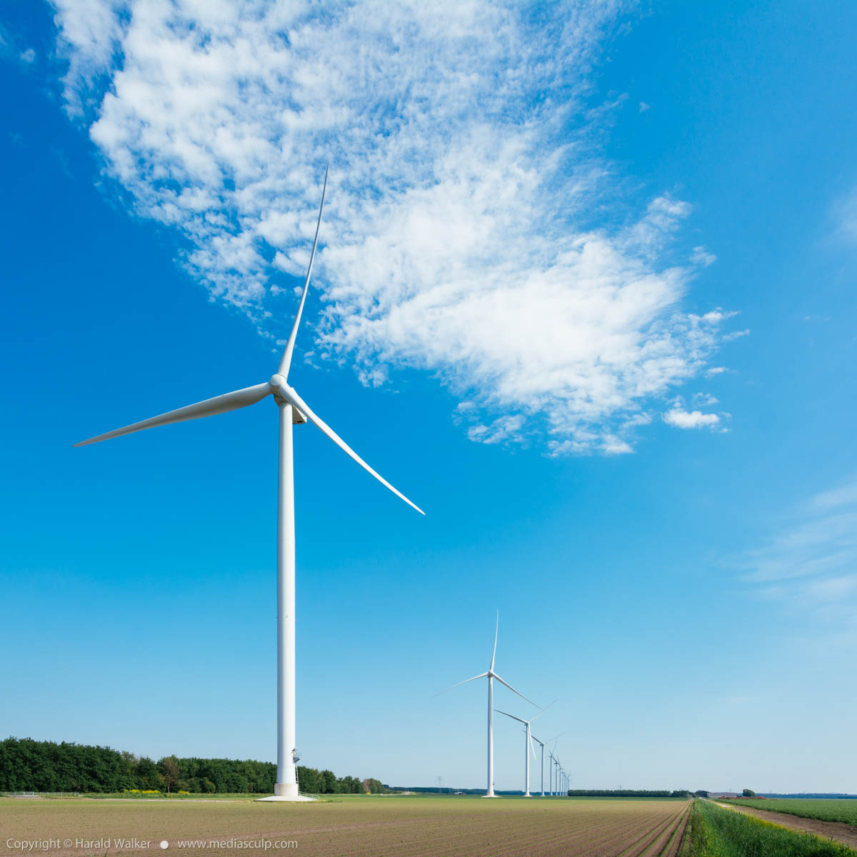 Stock photo of Wind turbines in Flevoland