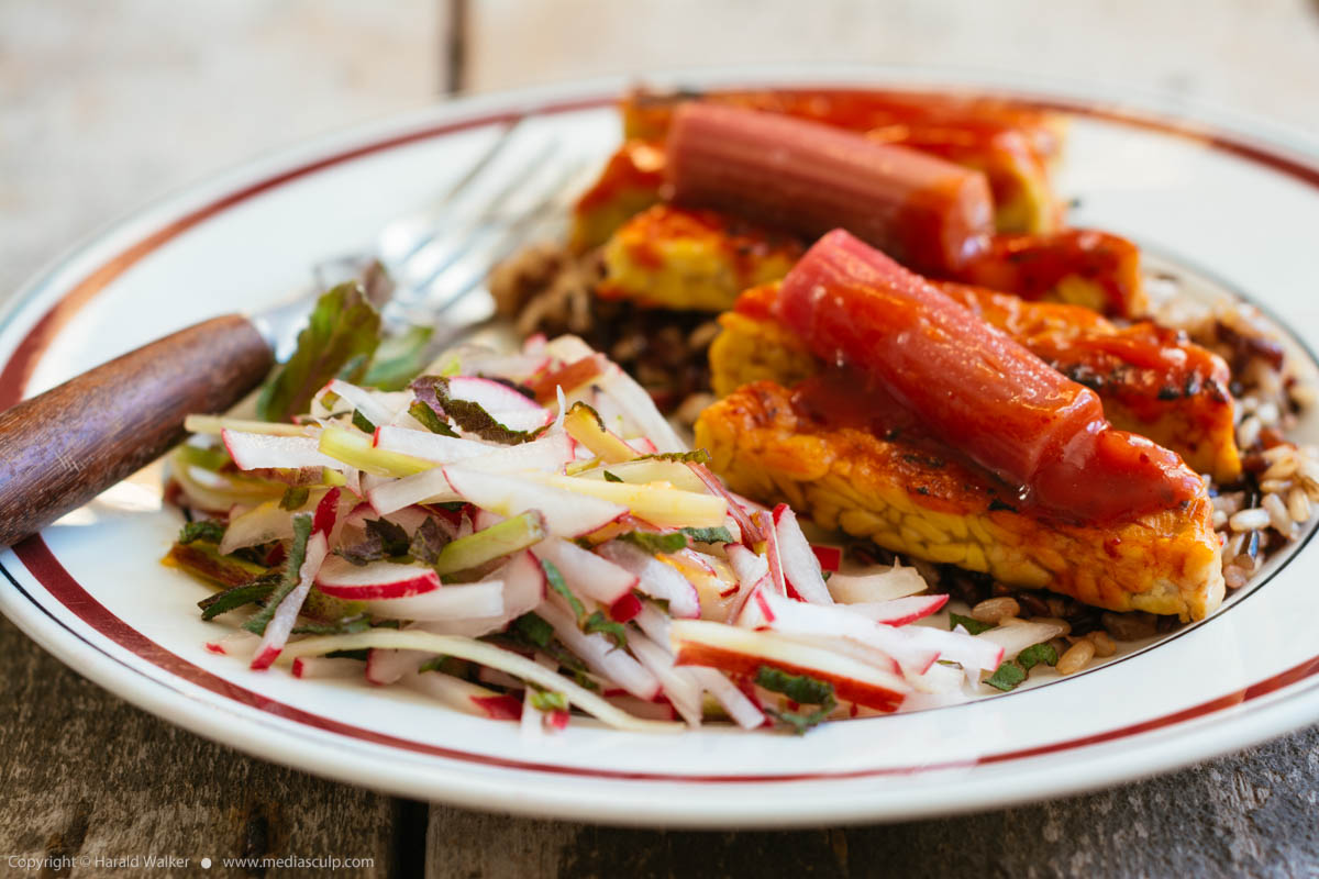 Stock photo of Tempeh with Rhubarb Barbecue Sauce