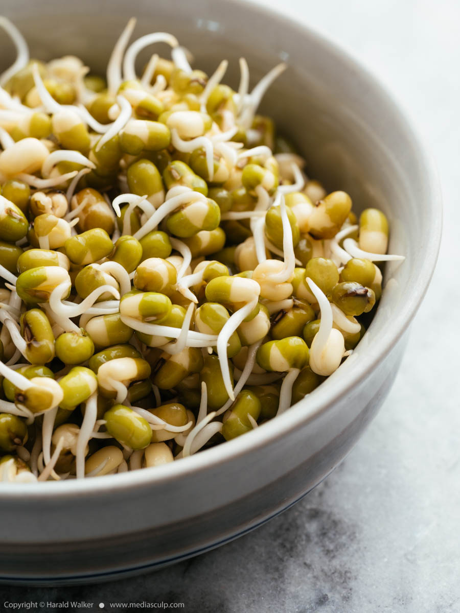 Stock photo of Sprouted mung beans