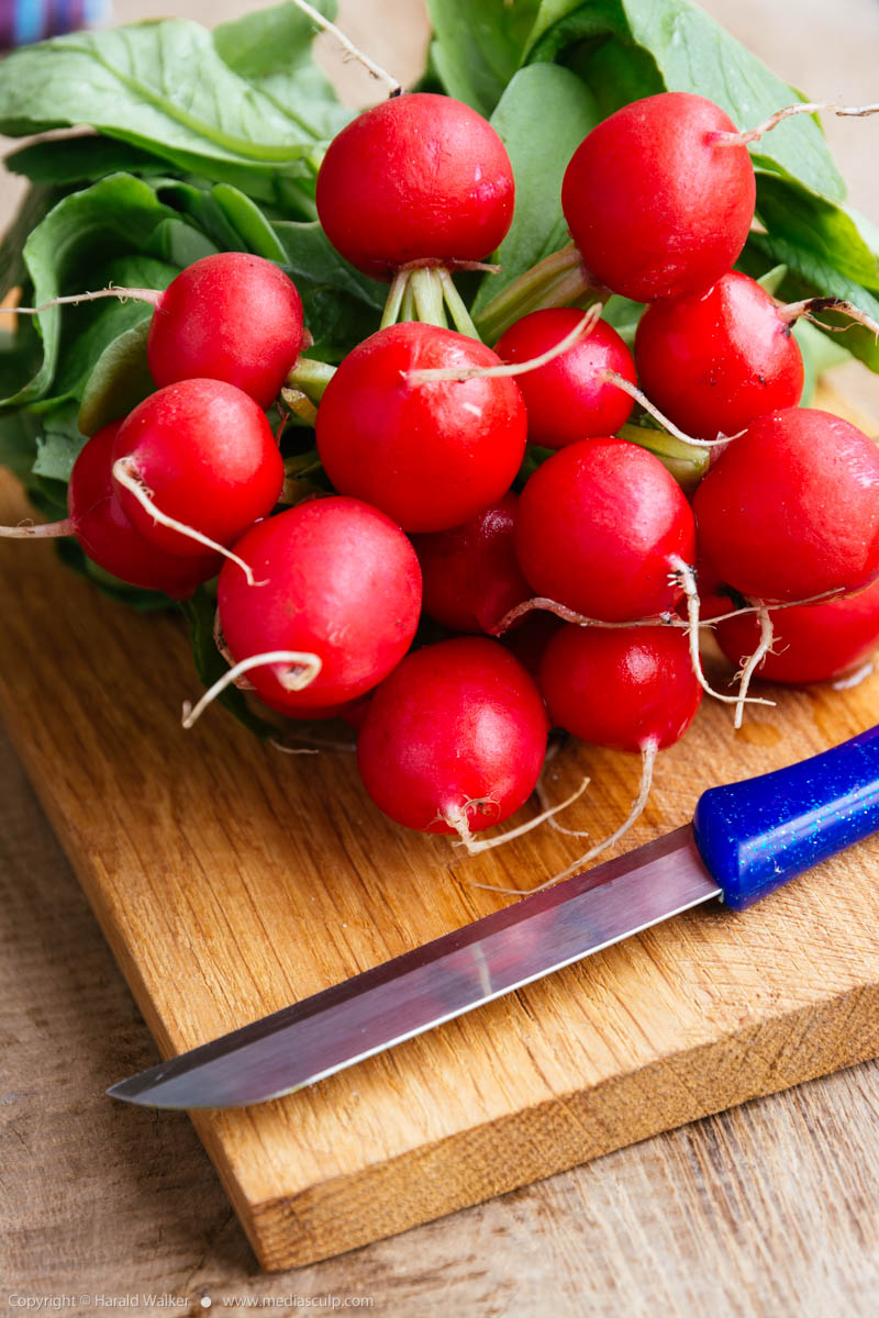 Stock photo of Red radishes