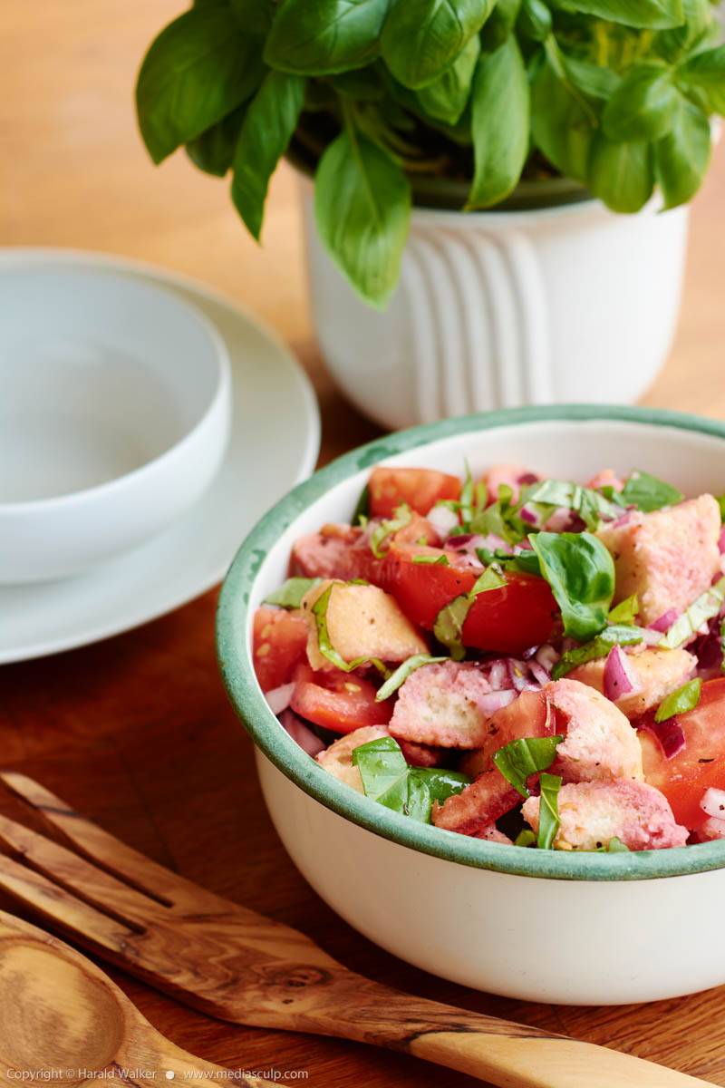 Stock photo of Panzinella salad