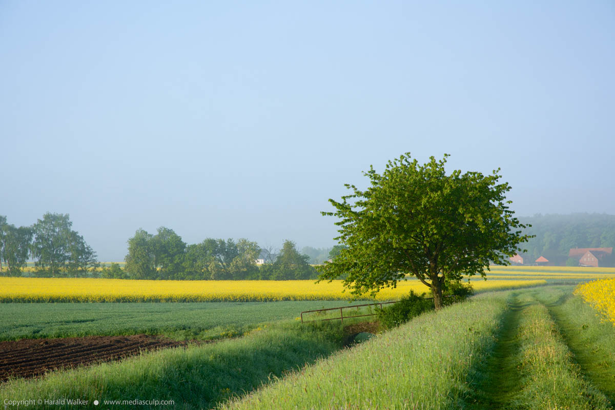 Stock photo of Rural landscape in East-Westphalia