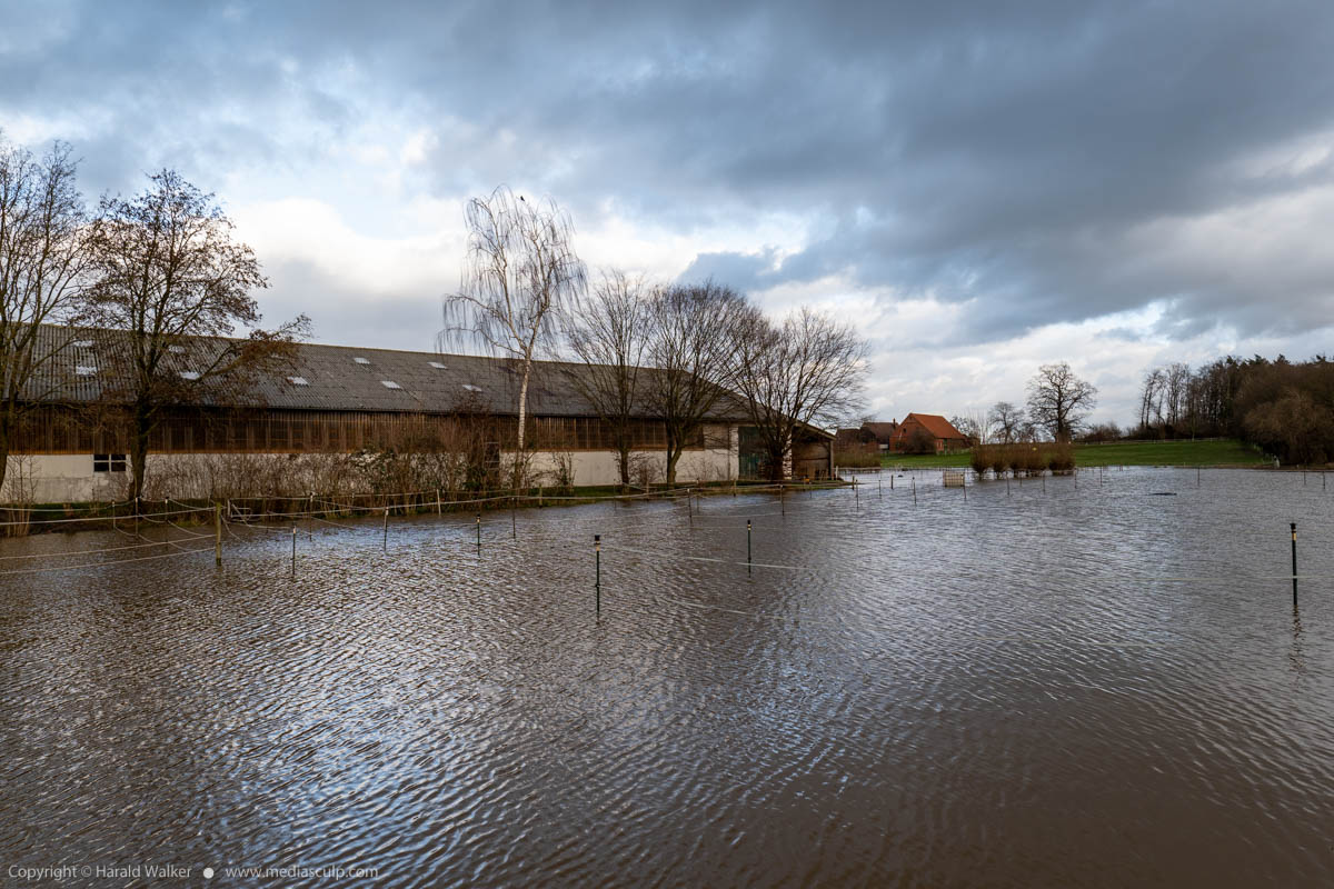 Stock photo of Flooded horse pasture