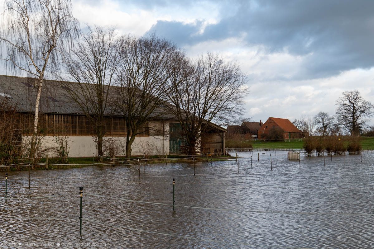 Stock photo of Flooded horse pasture