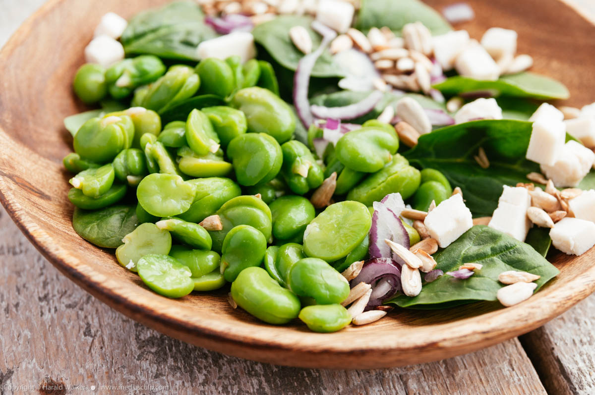 Stock photo of Fava Bean and Spinach Salad with a Tahini Dressing